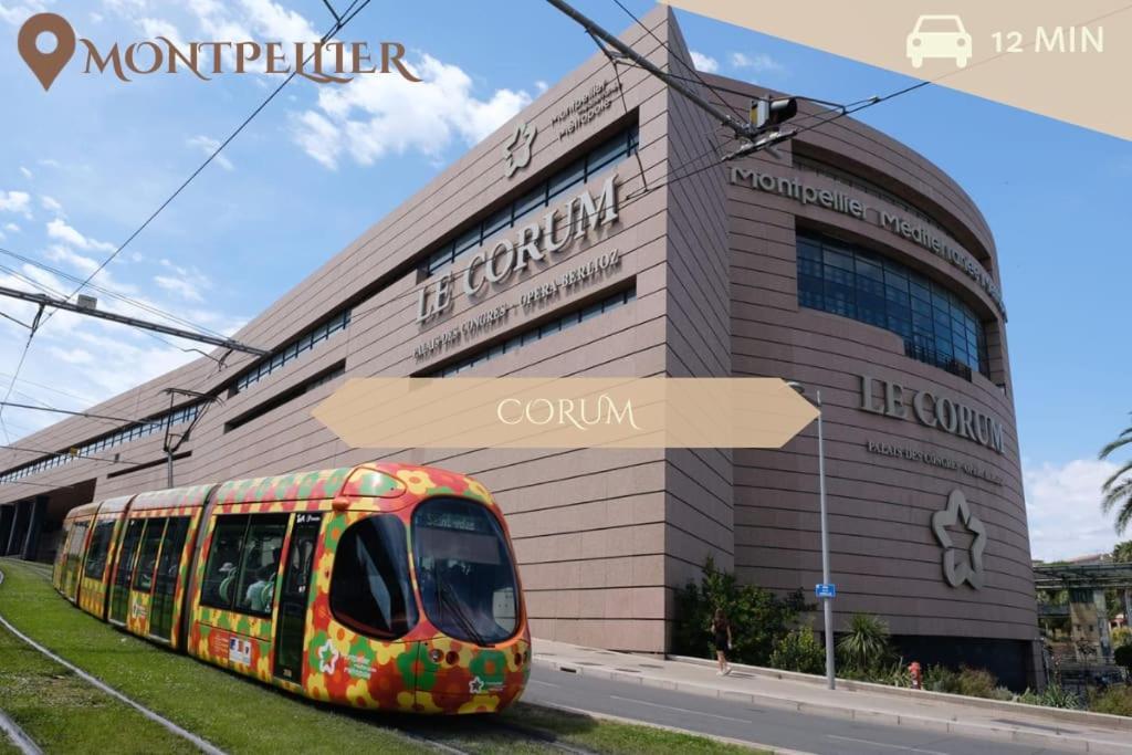 016- T2 Tropisme, Appart 1 Chambre,Clim,Wifi,Parking Μονπελιέ Εξωτερικό φωτογραφία