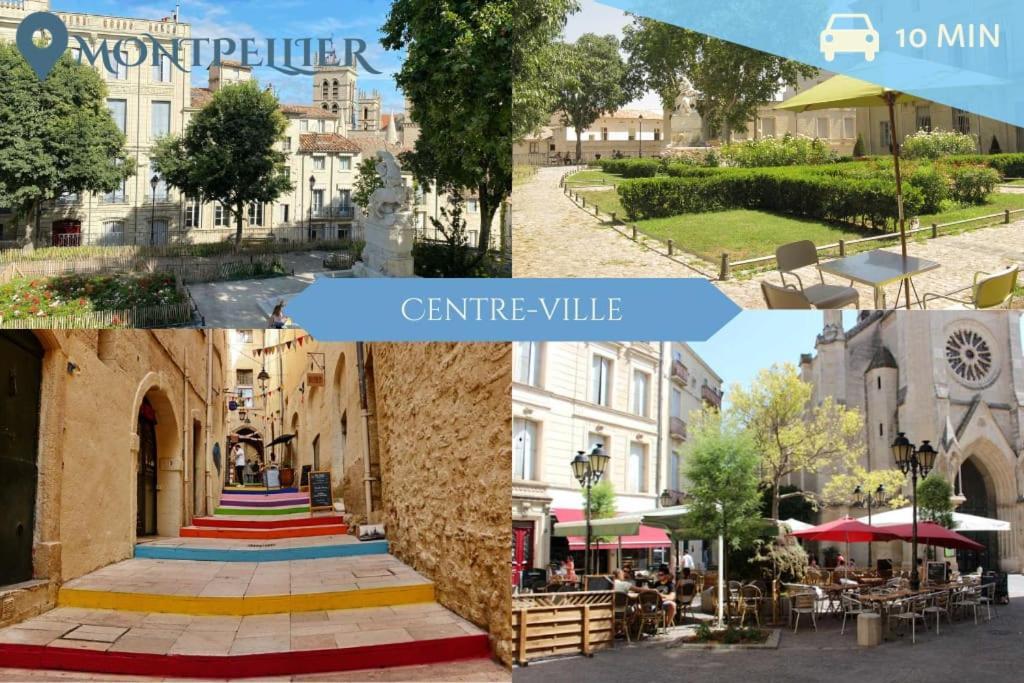016- T2 Tropisme, Appart 1 Chambre,Clim,Wifi,Parking Μονπελιέ Εξωτερικό φωτογραφία